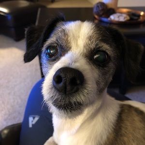 Meet your Posher, Jason